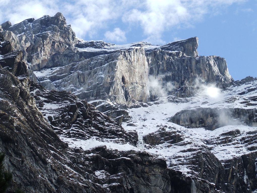 Les Pyrénées, la Fouine et un âne de Bretagne.