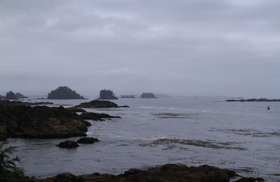 J10 Ucluelet, le Wild Pacific Trail et le Pacific Rim NP