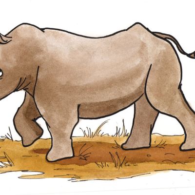 Rhinocéros