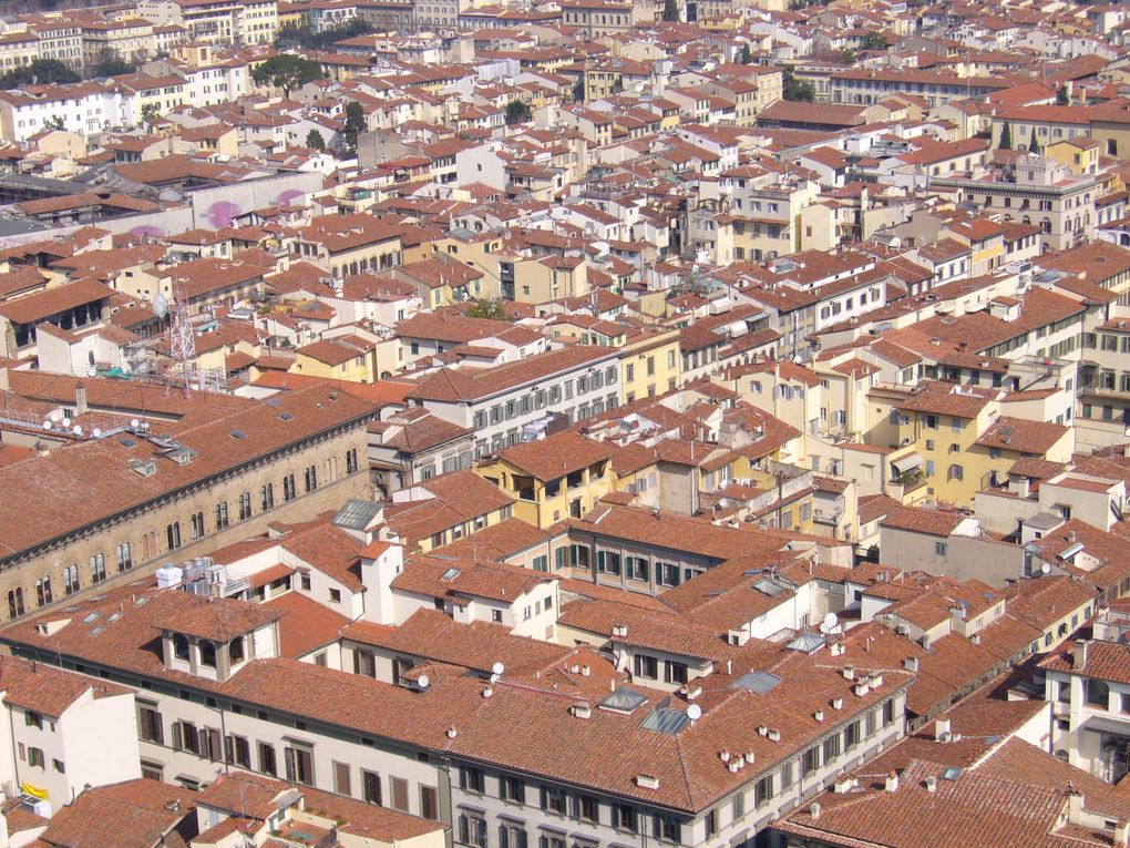 visite de la sublime Florence, et de quelques coins de Toscane, dont Sienne, Pise, San Lucca...