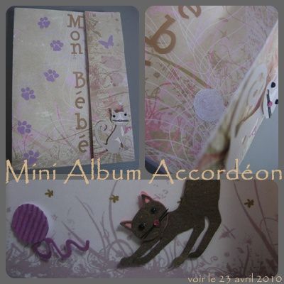 Album - Scrap-Mini-Album