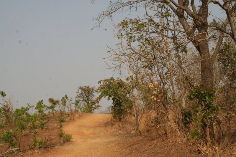 Album - PAYS-BASSARI-Senegal