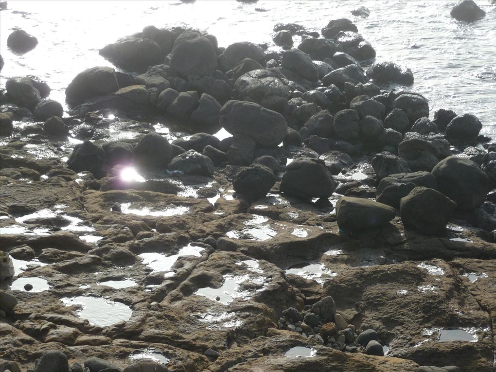 Deux îles proches de dakar!