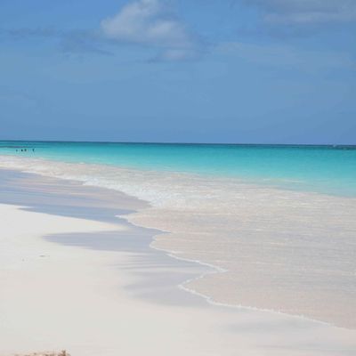 Excursion Harbour Island - Pink Sand Beach