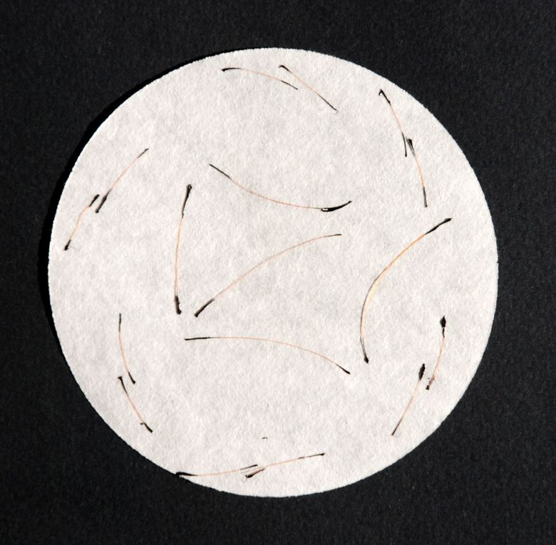 Les trikhographies (de trix :poil, cheveux et graphein:écrire) sont des signes réalisés avec des cheveux courts collés sur support papier.