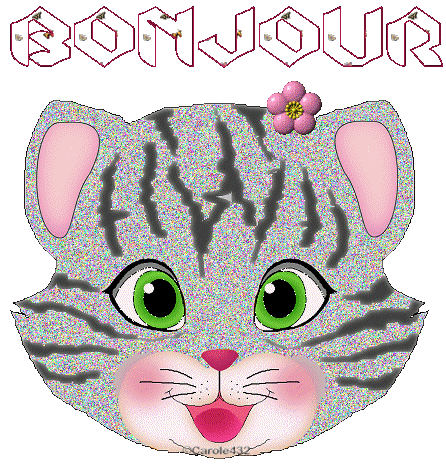 Bonjour Chat Regard Clin D Oeil Gif Anime Gratuit Le Monde Des Gifs