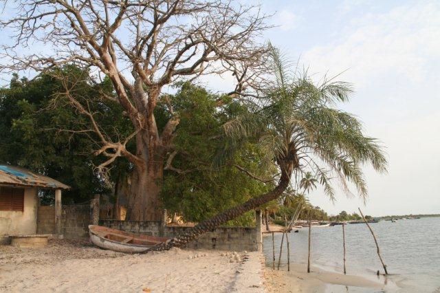 Album - casamance-senegal