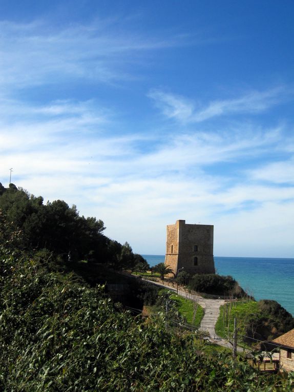 Album - SICILE 3-FEV.2010-CATANIA-A-CEFALU