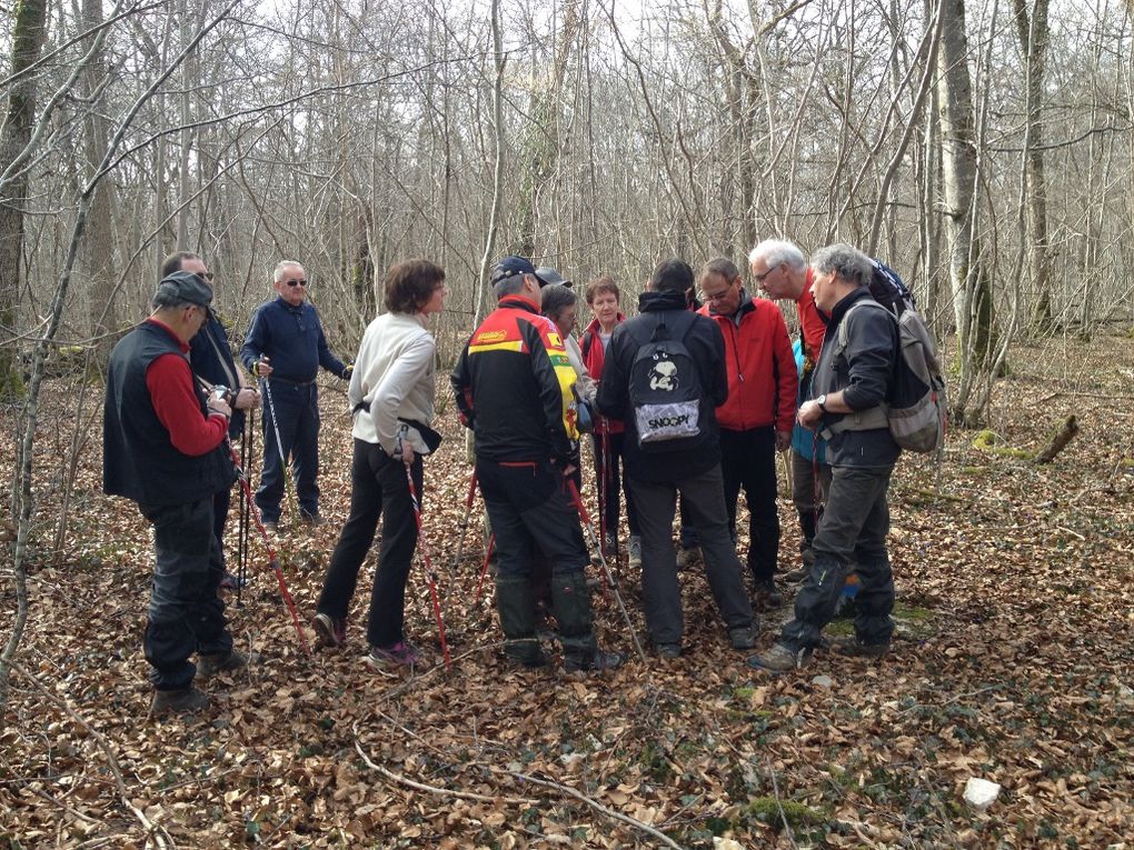 SORTIE : PIERREFONTAINES &quot;Bois de Baissey&quot;