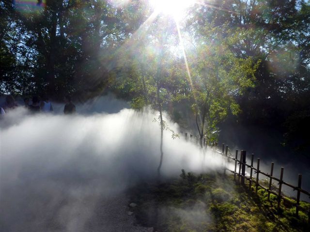 au Vent des forêts