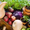 Fruits et légumes de saison "Hiver"