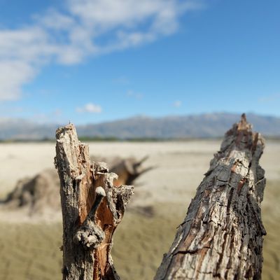 Tekapo et Aoraki