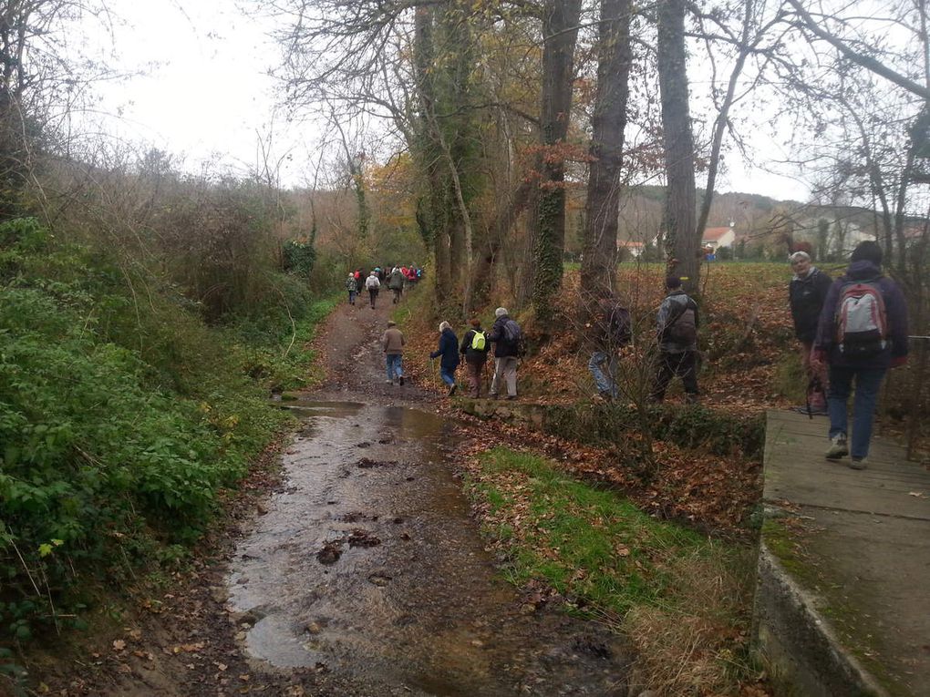 Combronde La pierre branlante 3h 10km 1er décembre 2015