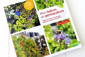 Mon Balcon en Permaculture