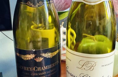 Gevrey Chambertin Clos Saint Jacques 2009 Dominique Laurent vs Cherbaudes 2009 Lucien Boillot