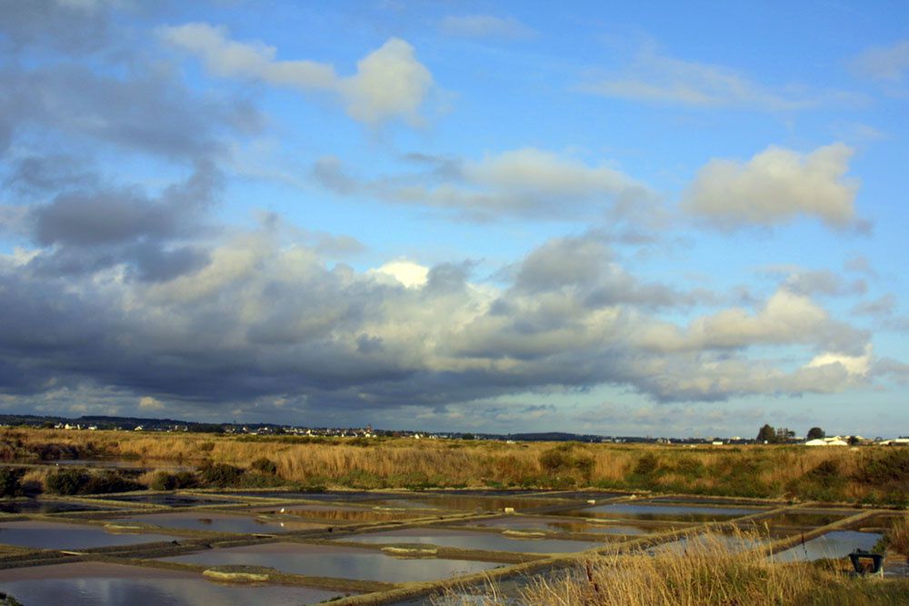 Images des marais salants de Gu&eacute;rande&nbsp;au lever du soleil