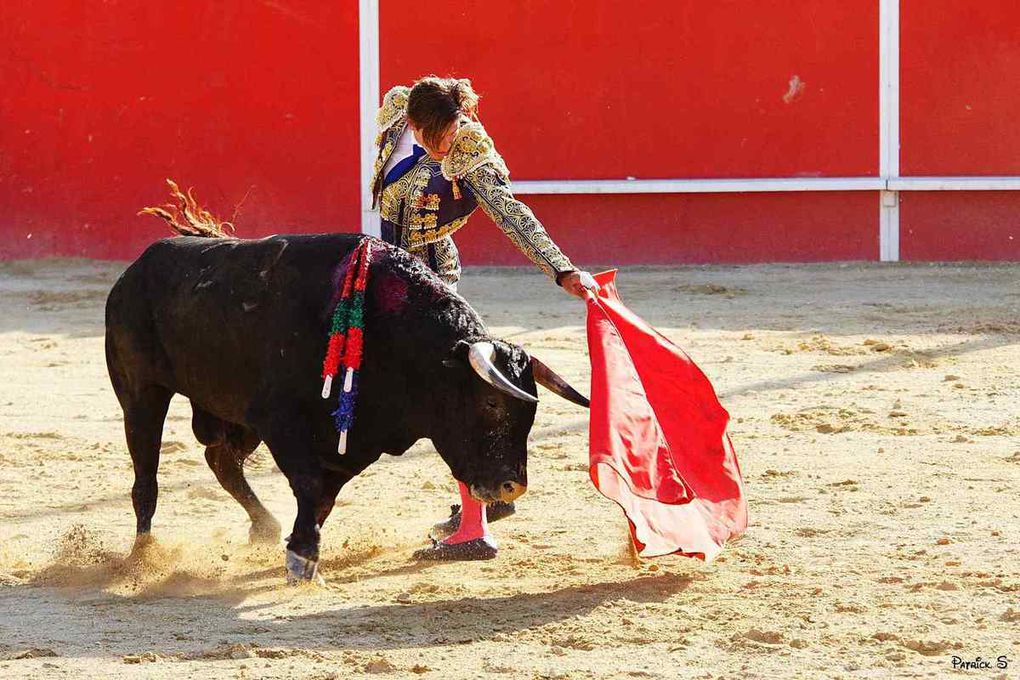                               UN DIMANCHE DE FERIA  Á BOUJAN