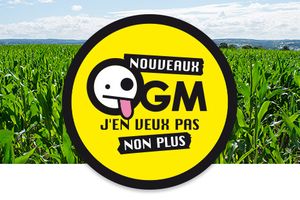 Des nouveaux OGM bientôt autorisés ?