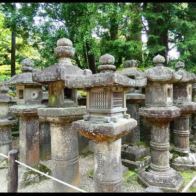 Photo : les lanternes du temple Kasuga Taisha