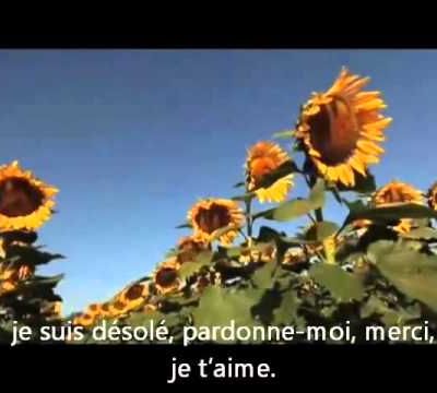 Méditation 4 paroles qui guérissent