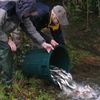 Le Pêcheur Barbezilien donne un coup de pouce au milieu aquatique !