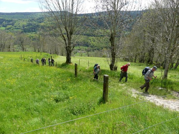 Séjour 2 Vic sur Cère mai 2024