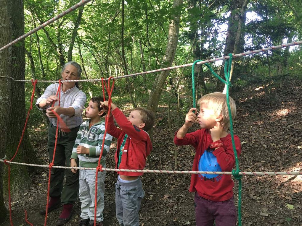 Centre aéré en forêt - Été 2019