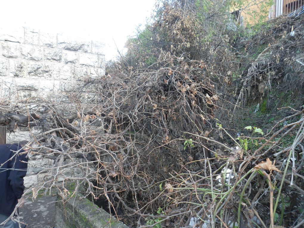 Rue et chemin menant à la maison d'Hashem. En jaune la maison de son voisin, le mur qu'il devait escalader. Quelques dégradations: de ses oliviers, raisins, meubles... 