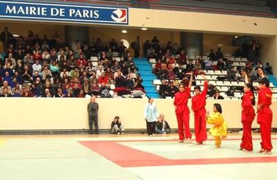 FESTIVAL DES ARTS MARTIAUX CHINOIS FTCCG A PARIS COUBERTIN DIMANCHE 19 MARS 2006 N°8