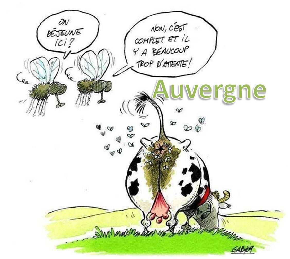 Vache humoristique