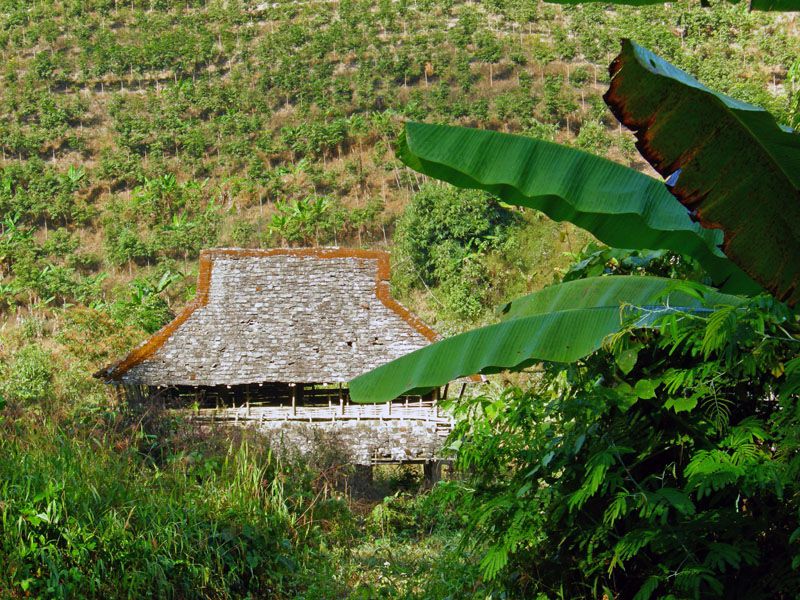 Petite sélection de photos de notre voyage au Xishuangbanna fin décembre 2009.