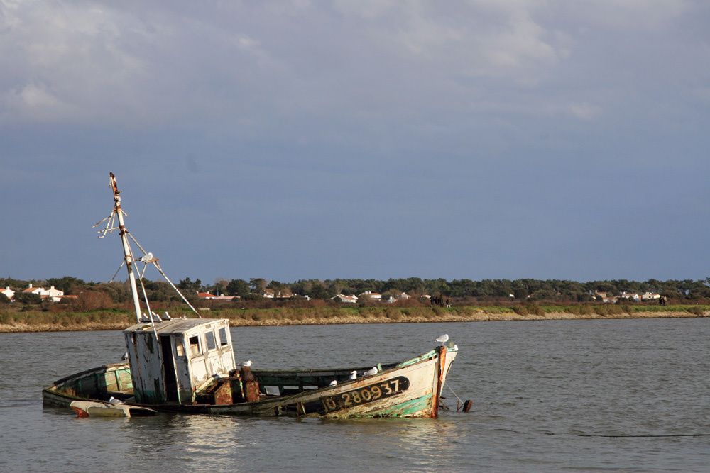 Album - Cimetière de bateaux à Noirmoutier