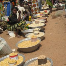 Sécurité alimentaire : atelier national d'identification des zones à risque, à partir du 16 mars