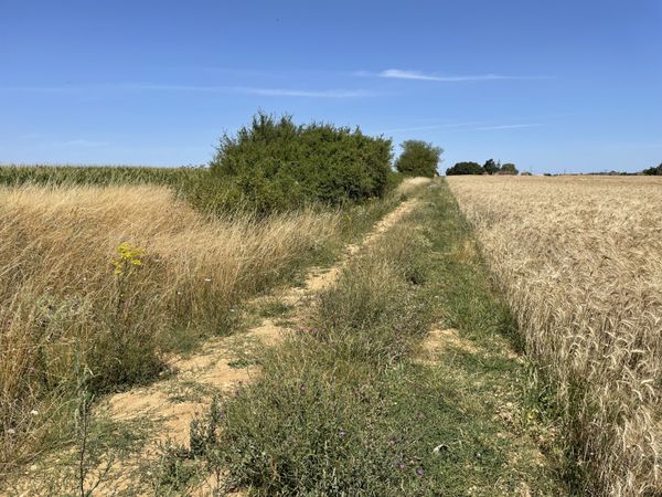 La Beauce entre Chartres et Orléans - @Pierre