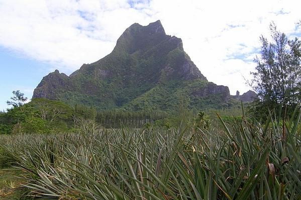 Album - Week-end---MOOREA