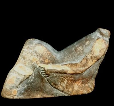 RESPECT -Trésor de garrigues ©- 576 -