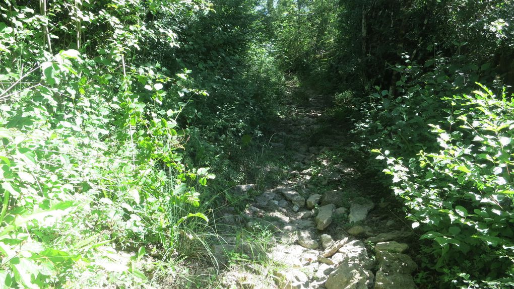 Aubrac, Margeride, Auvergne