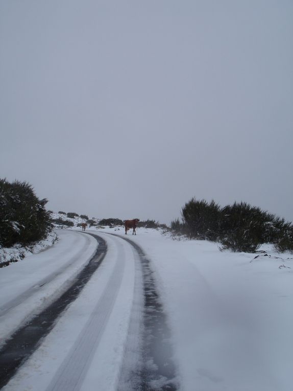Neige à Madère en Mars 2011 - Episode rare sur cette île.