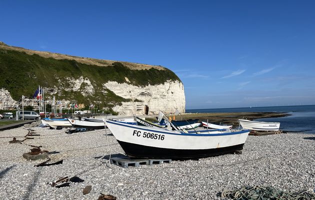 Randonnée boucle Yport - Vaucottes - Yport - Août 2024