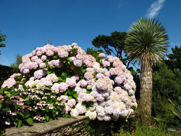 Album - Chateaux-et-jardins