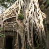 Angkor et Angkor