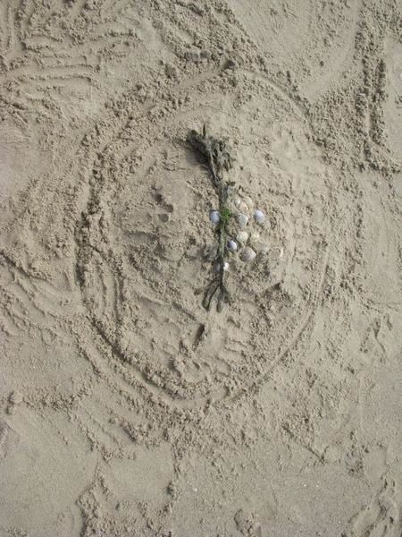 Album - Land art sur la plage de Boulogne-sur-mer (classes de Grands)