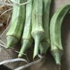 In Which He Fries Okra