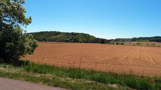 Coups de Cœur du Jour mai 2016 !!! 