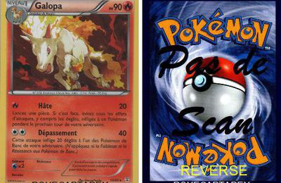 SERIE/XY/GENERATIONS/11-20/15/83