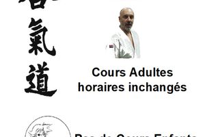 aikido la roche sur yon vendee aikikai yonnais vacances de toussaint 2020