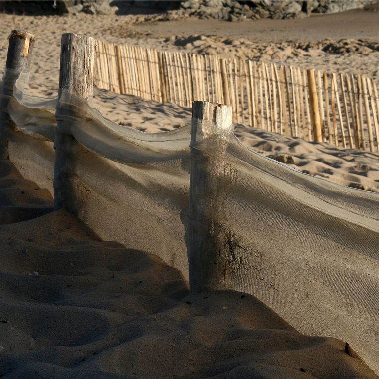 Album - Dunes et Plages