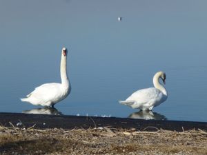 Rando Surprise du 18 Décembre de MARIGNANE à St JULIEN.