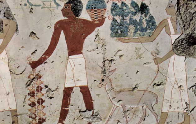 Que mangeaient-ils ? Que buvaient-ils ? Quelle fut leur cuisine, leur gastronomie ? Alors, imaginons cette cuisine égyptienne... ! (3) En Égypte ancienne !