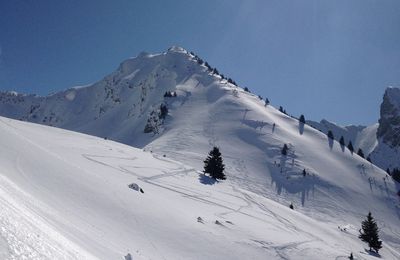 23 ou 27 mars Une journée par semaine avec Duo d'en HAut 